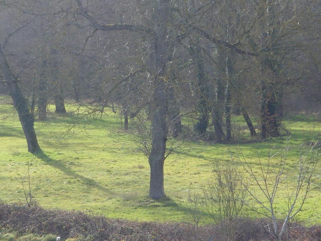 Le Bravard Jumeaux Extérieur photo